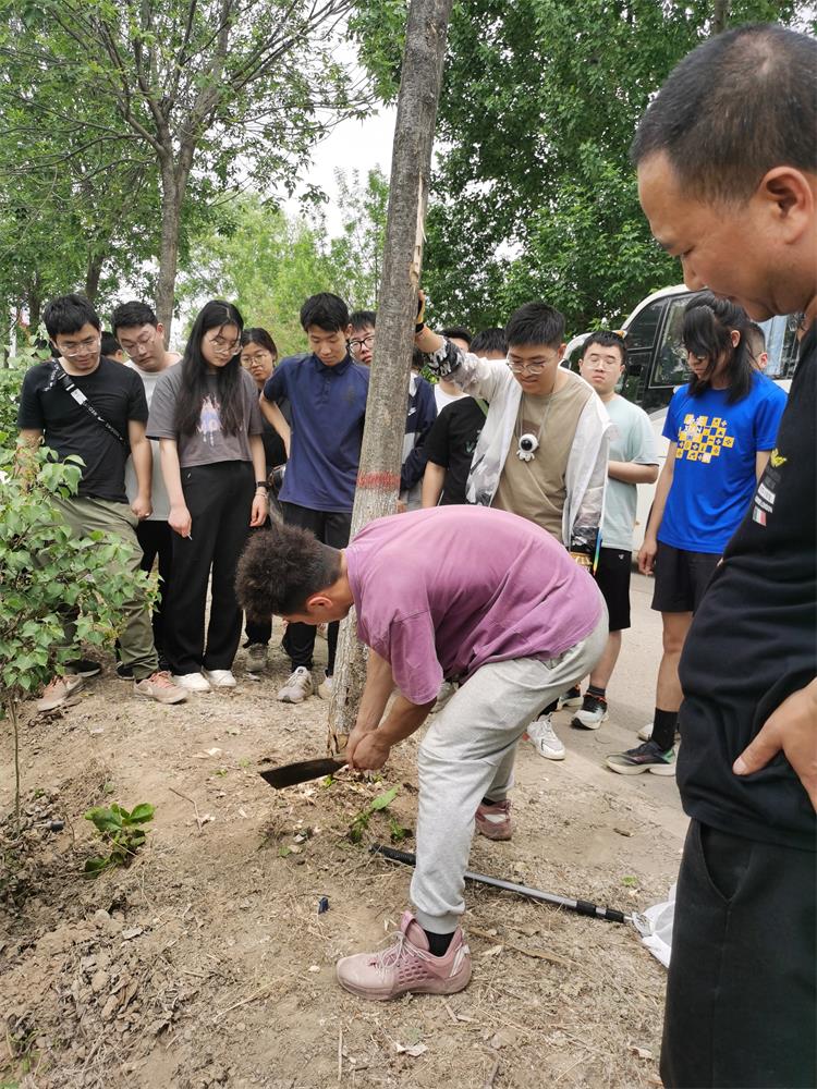 750-6-1. 師生調(diào)查天牛危害致死的白蠟樹.jpg