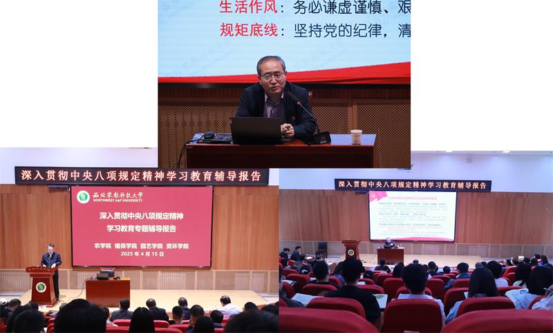 2.800陳紅書記專題輔導(dǎo)報(bào)告會(huì)圖片1.jpg
