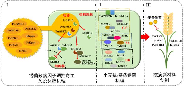 圖片-720.jpg