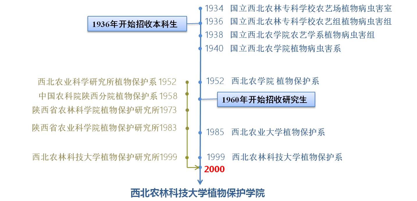 歷史沿革更新.jpg